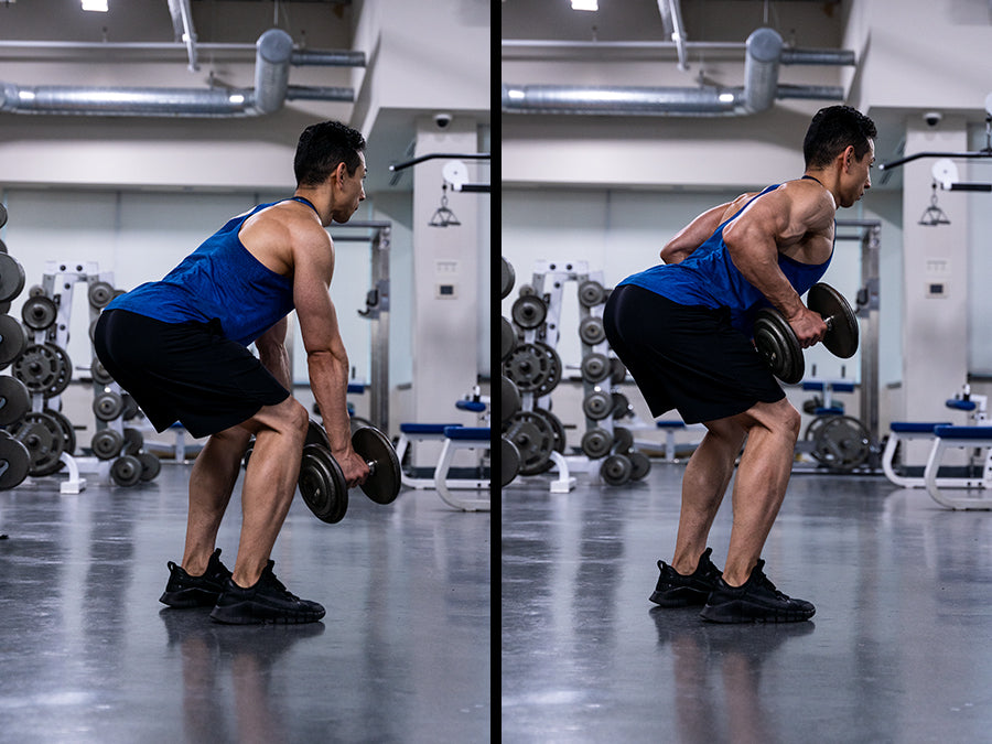 bent over dumbbell rows