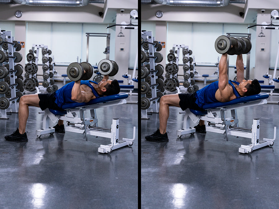 Incline Dumbbell Bench Press