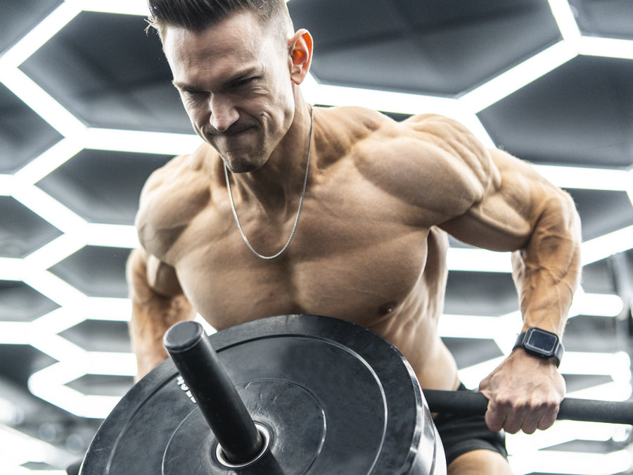 Traps workout